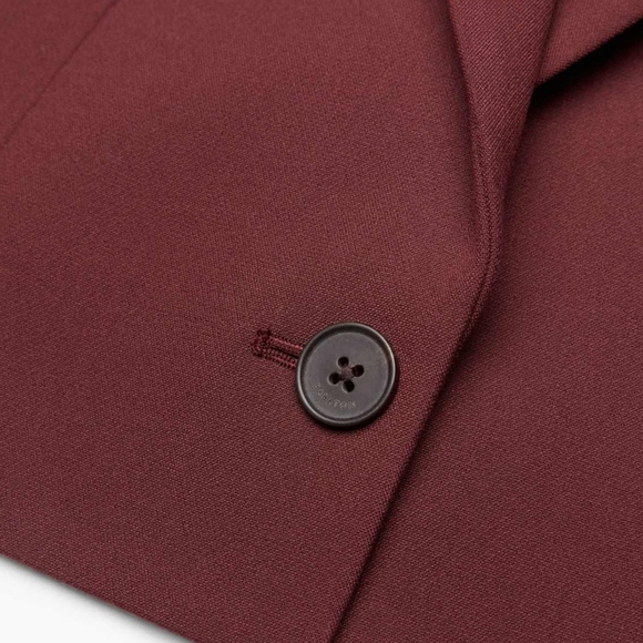 BABATON Arbus Blazer Crop Maroon Red Aritzia - Picture 8 of 16